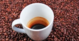 Kaffeesatz wiederverwenden – entdecken Sie die kreativen Möglichkeiten!