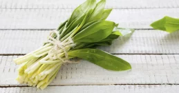 Senken Sie Ihren Cholesterinspiegel auf natürliche Weise – mit Bärlauch-Tropfen