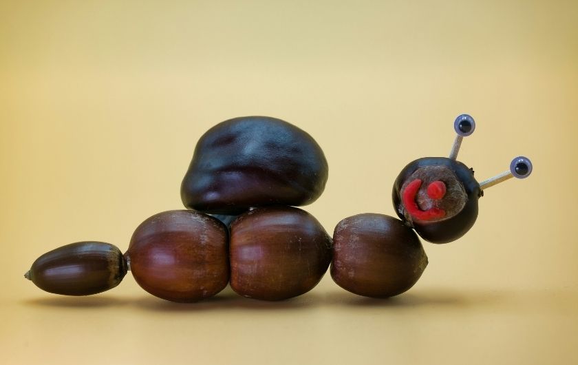 Kesteni mogu poslužiti za kreativni jesenski projekt.