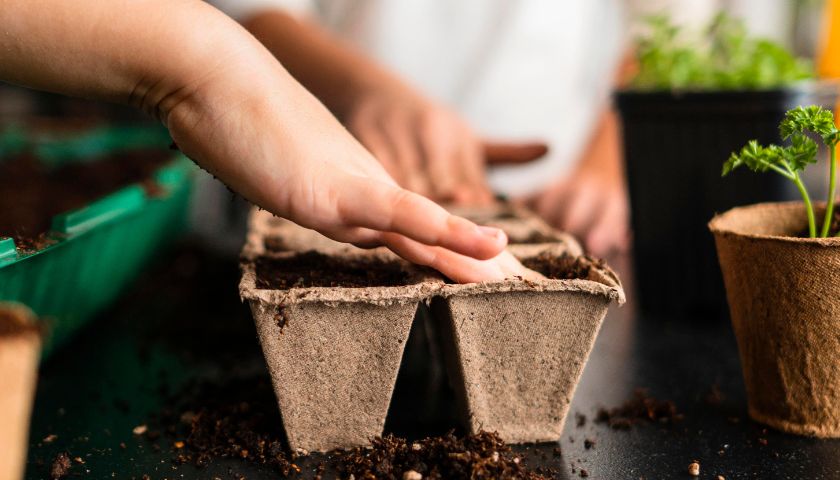 Začinsko i jestivo bilje vrlo lako se može uzgajati na balkonima i terasama. 