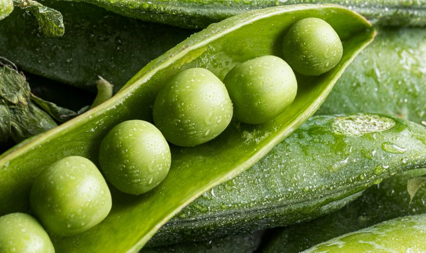 Grašak je omiljena vrsta povrća koje nam donosi brojne benefite