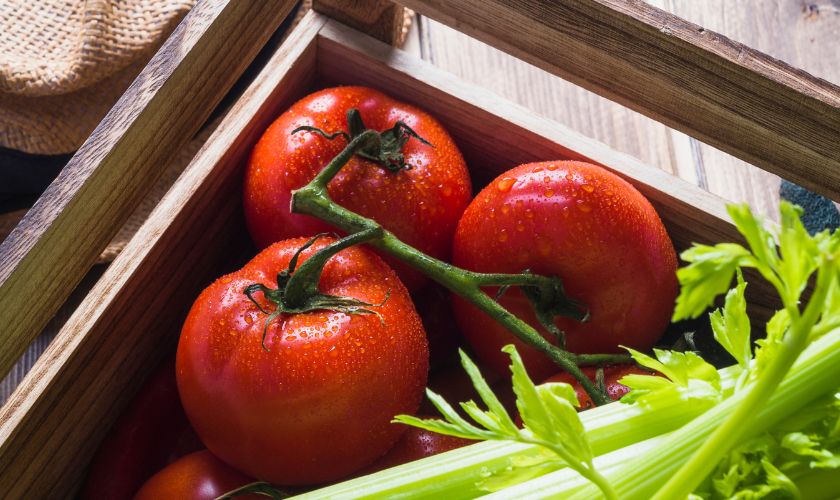 Nikola Tesla  sve je više naginjao biljnoj prehrani. 