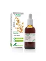Soria Natural Hafer – natürliches Extrakt in einer 50ml  Glasflasche mit Tropfer