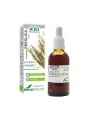 Soria Natural Ackerschachtelhalm Extrakt – 50ml