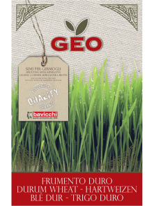 Weizensamen zum Keimen – Bio 600g Geo
