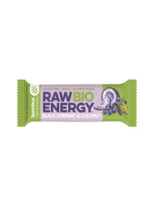 Bombus Raw Bar Schwarze Johannisbeere & Kokos – Biologisch 50g