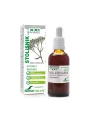 Soria Natural Schafgarbe - XXL-Komplex – 50ml Fläschchen mit Tropfer