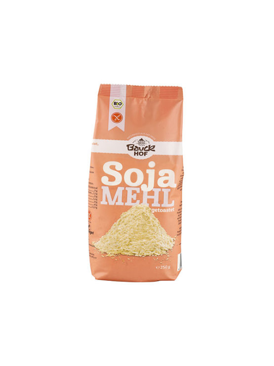 Glutenfreies Sojamehl - Biologisch 250g BauckHof