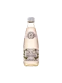 Agropošta Minzsaft in einer 0,25l Flasche
