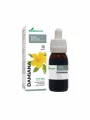 Damiana XXL-Extrakt 50ml Soria Natural