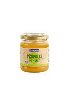 Propolis in Honig - Biologisch 250g Hoyer