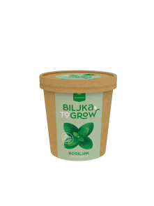 Pflanze 2 Grow Basil 300g Biljkoborci