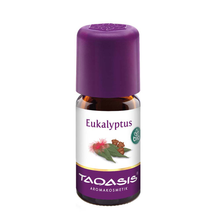 Taoasis Eukalyptus Bio - Ätherisches Öl 5 ml