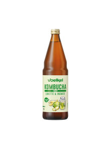 Kombucha-Getränk Limette & Ingwer – Biologisch 0,75l Voelkel