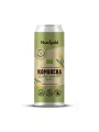 Nutrigold Kombucha Ingwer & Zitronengras - Biologisch in einer 330ml Packung