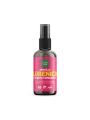 Tinktura Wassermelonen-Trockenöl in der 100ml Spraydose