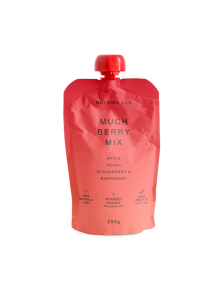 Nutrino Lab Fruchtsnack Much Berry Mix – Apfel, Pfirsich, Erdbeere und Himbeere in Quetschbeutel von 200g