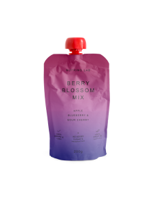 Nutrino Lab Fruchtsnack Berry Blossom Mix – Apfel, Heidelbeere und Kirsche in Quetschbeutel von 200g