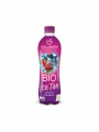 Höllinger Eistee Waldbeere – Biologisch in einer 500ml Flasche