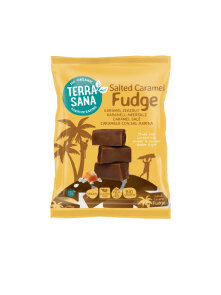 Veganer Fudge Gesalzenes Karamell Glutenfrei – Bio 150g Terrasana