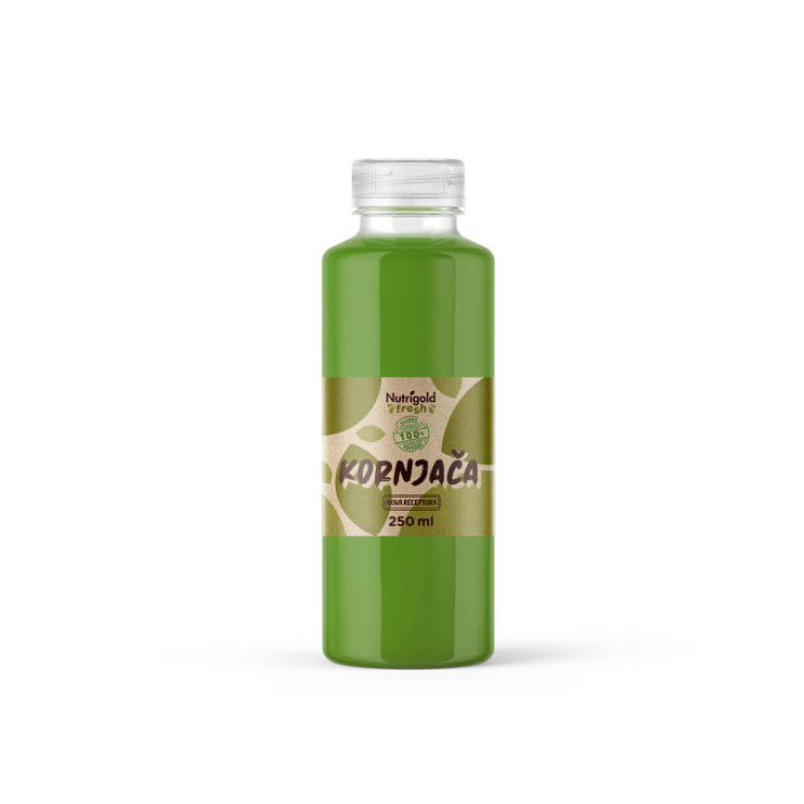 Nutrigold  Schildkröte Tapirsaft in einer 250-ml-Flasche