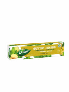 Ayurvedische Zahnpasta Ingwer & Minze – 100ml Dabur