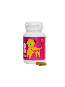 Apipet Gastro für eine gesunde Verdauung bei Hunden mit 60 Kapseln in der Packung