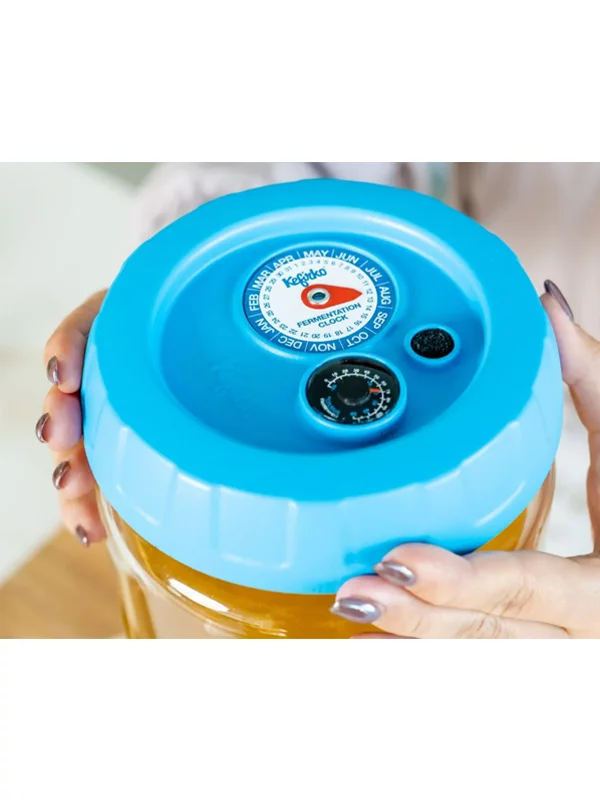 Fermenter für Kombucha – 4L Kefirko