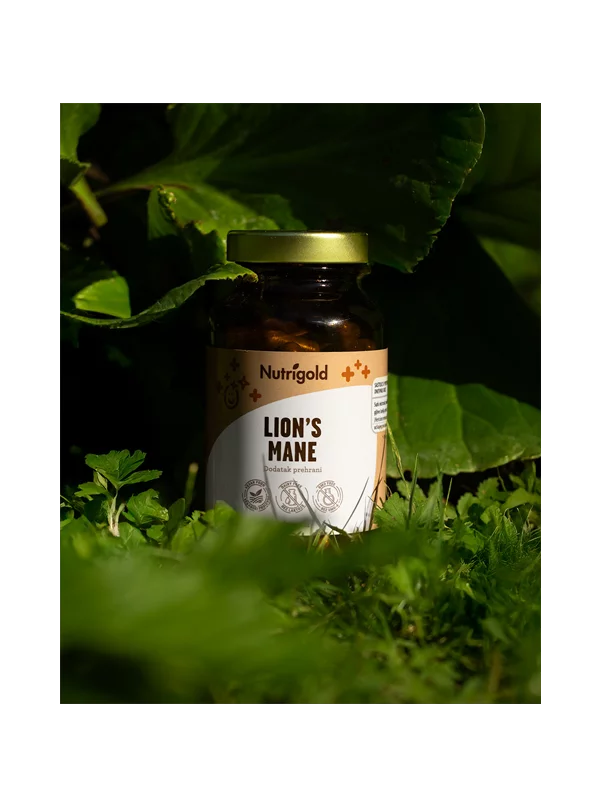 Nutrigold Löwenmähne (Lion’s Mane) 500mg mit 90 Kapseln in der Packung