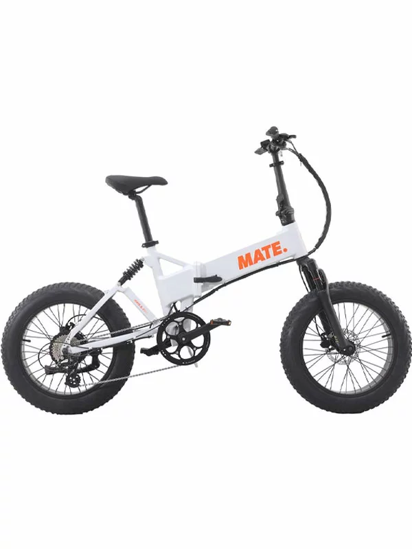 Mate X Evo 250W – Ghost Gravity