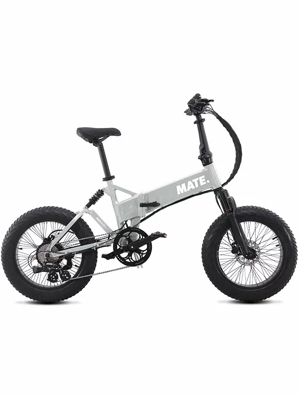 Mate X Evo 250W – Silver Comet