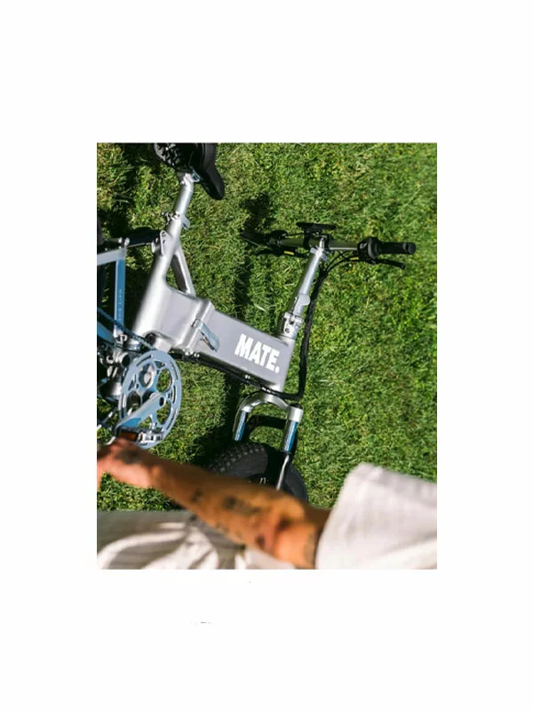 Mate X Evo 250W – Silver Comet