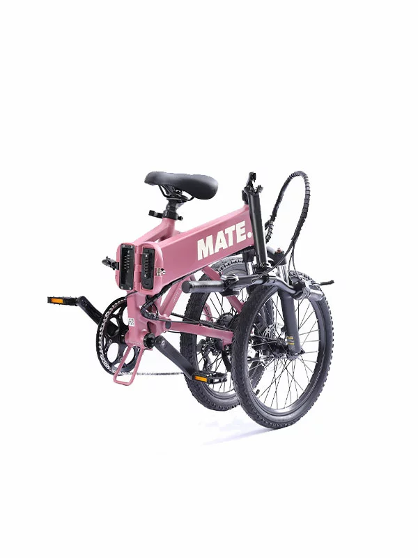 Mate Icon – Soft Bloom