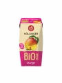 Mangosaft im Tetrapak mit Trinkhalm – Bio 200ml Hollinger