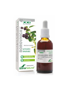Heidelbeertropfen - natürliches Extrakt 50ml Soria Natural