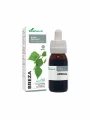 Birke - natürliches Extrakt 50ml Soria Natural
