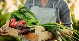 Saisonale Frühlingslebensmittel – natürliche Unterstützung für mehr Energie und eine strahlende Haut!