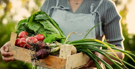 Frühlingslebensmittel