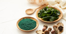 Superfood wie Spirulina in einer Schüssel