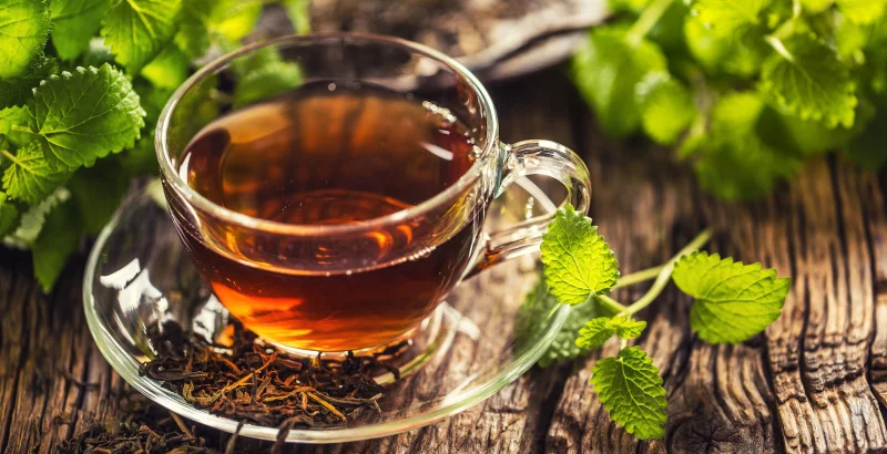 Melissentee in einer durchsichtigen Tasse auf einem Holztisch