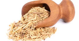 Muira Puama – Traditionelle Pflanze für Energie und Vitalität