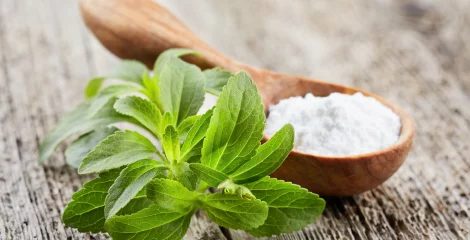 Stevia Blatt und Pulver