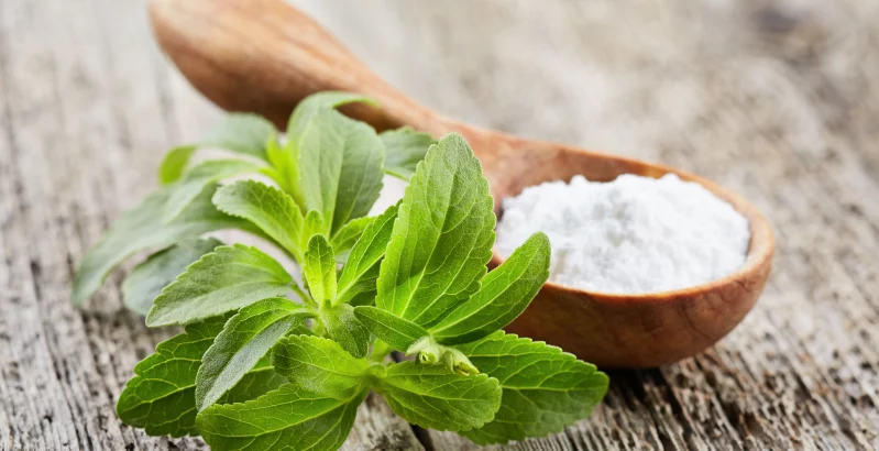 Stevia Blatt und Pulver