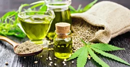 Hanföl – Das flüssige Gold der Natur mit heilender Wirkung