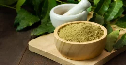 Neem-Pulver – Ein Wunder der Natur