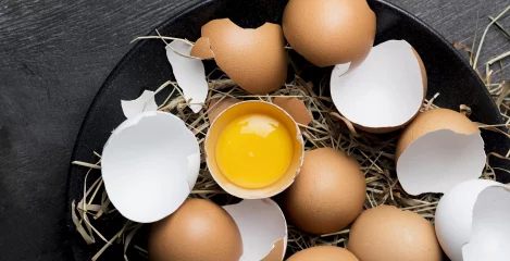 Eier