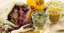 Ayurvedische Teemischungen