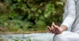 Brahmi – das ayurvedische Heilpflanze für geistige Klarheit und Konzentration