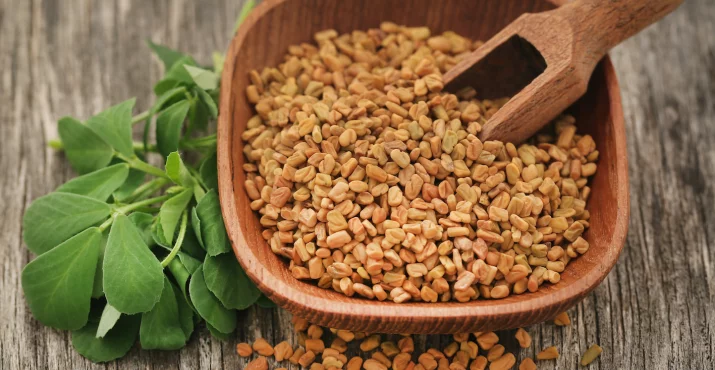 Bockshornkleesamen in einer Holzschale