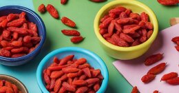 Goji Beeren in Schälchen